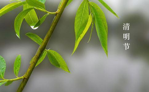 清明時節“五行養生法”